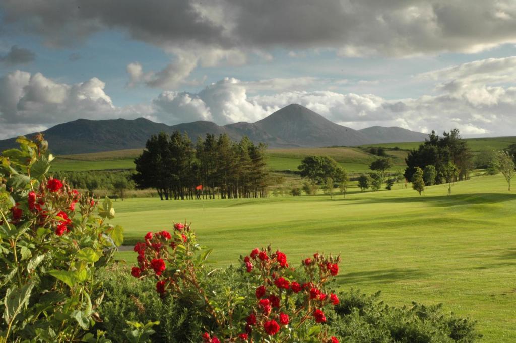 Quay West Ireland Bed & Breakfast Westport Ruang foto