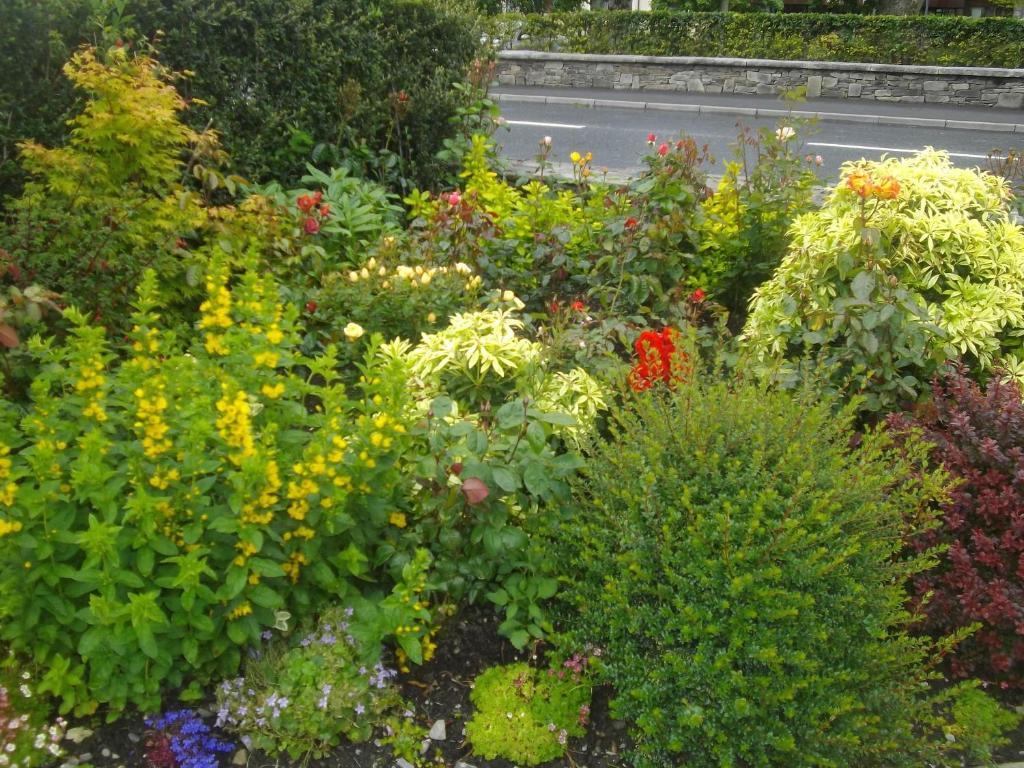 Quay West Ireland Bed & Breakfast Westport Bagian luar foto