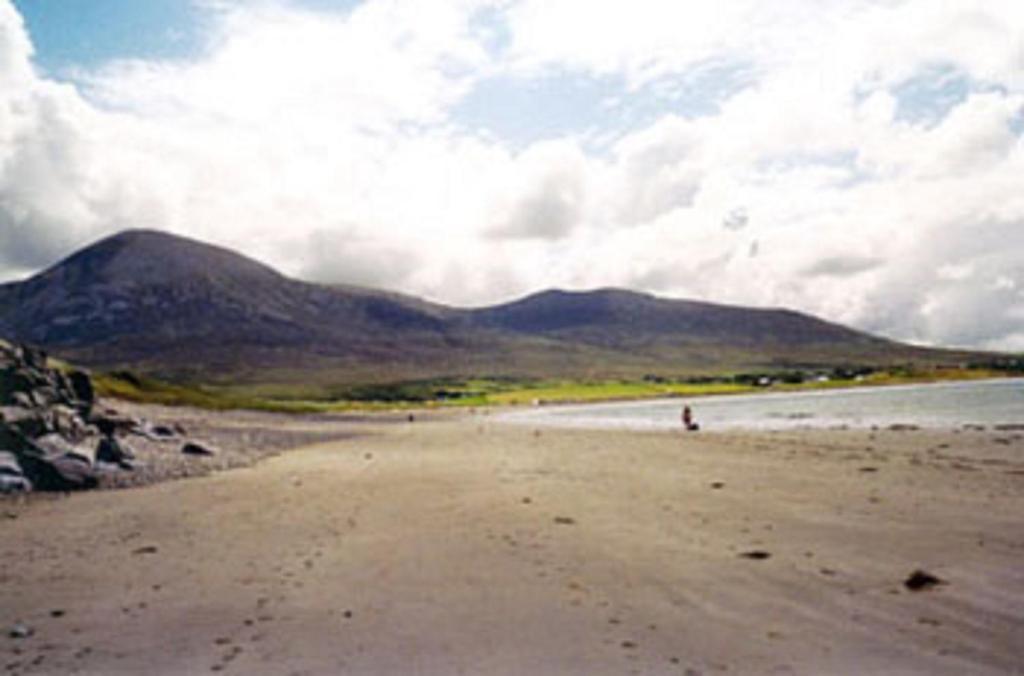 Quay West Ireland Bed & Breakfast Westport Bagian luar foto